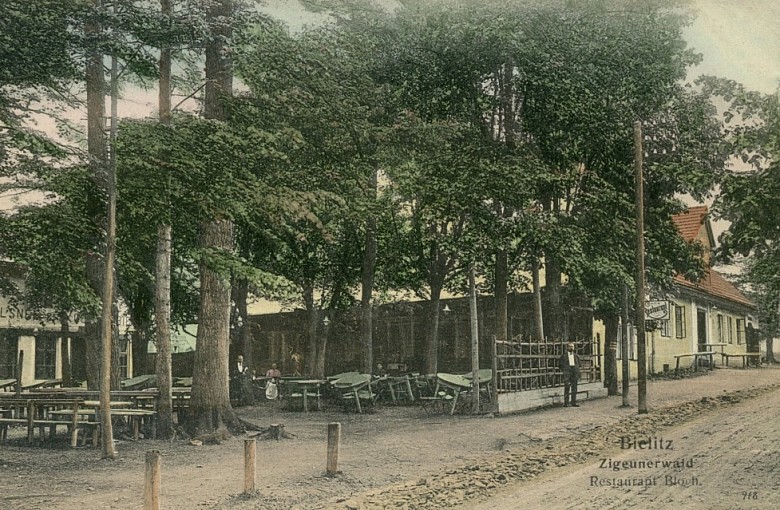 Cygański Las skrywa niezwykłą historię. Wyjątkowy spacer z Piotrem Kenigiem