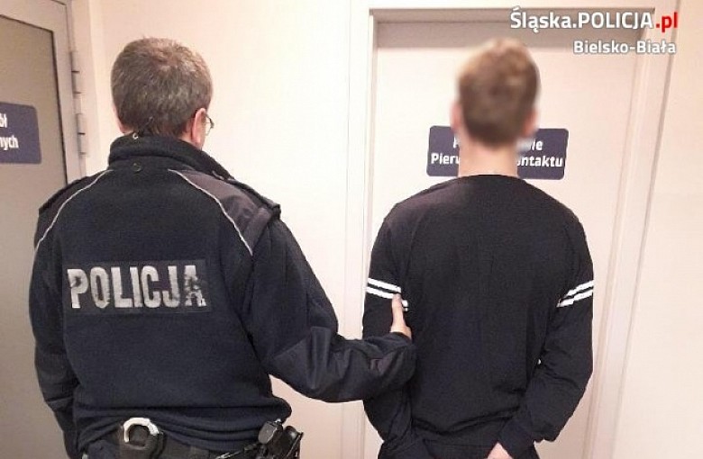 Zarzuty za znieważenie policjantów