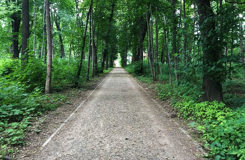 Przyszedł czas na Park Strzygowskiego