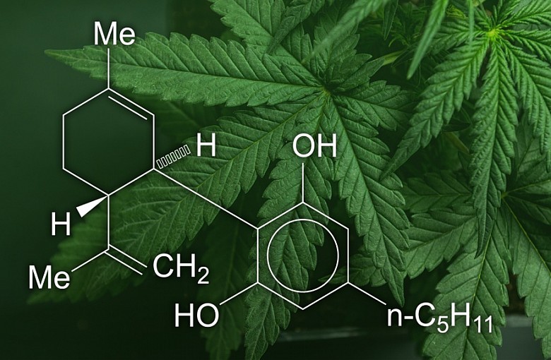 Produkty CBD: zdrowe czy niebezpieczne?