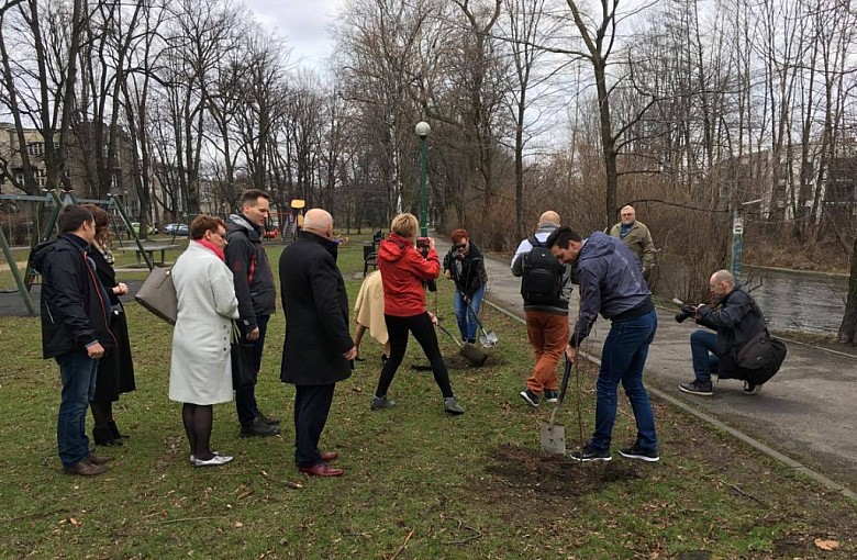 W Parku Włókniarzy przybyło kilka drzewek