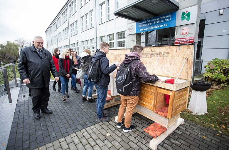 Nowe domy dla kotów