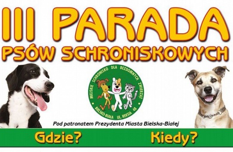 III Parada Psów Schroniskowych